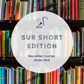 Mes fictions sur Short Édition Mes fictions sur Short Édition