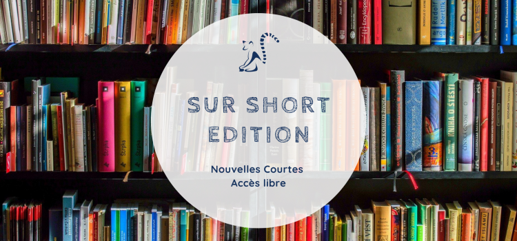 Mes fictions sur Short Édition Mes fictions sur Short Édition