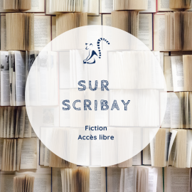 Mes Fictions sur Scribay Mes Fictions sur Scribay