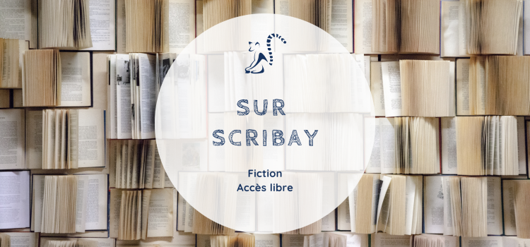 Mes Fictions sur Scribay Mes Fictions sur Scribay